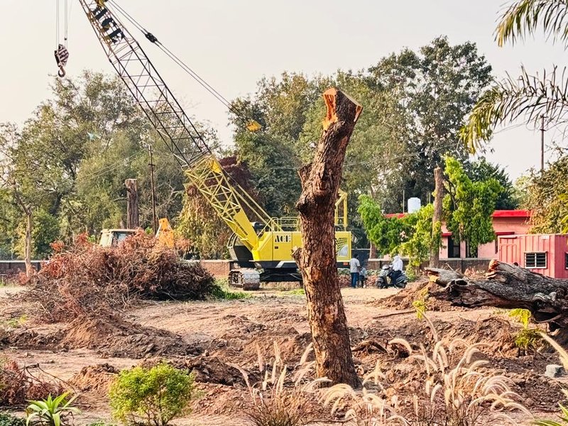 Indumati Palace Residences Vadodara construction update February 2026 - clearing and grubbing under way